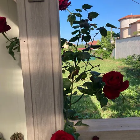 Parque de Campismo каравана Paradise