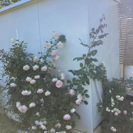 каравана Paradise *