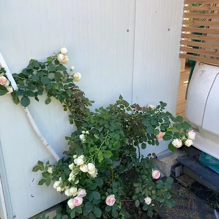 Parque de Campismo каравана Paradise