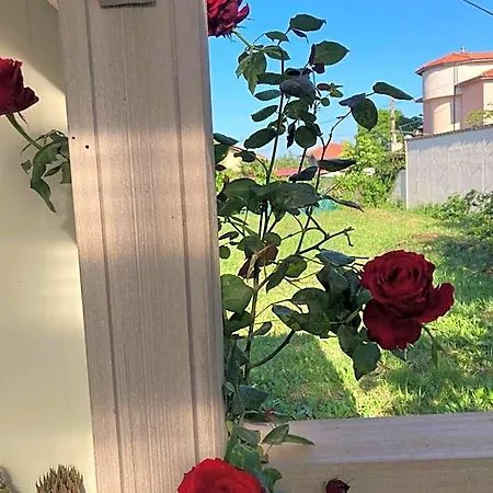 каравана Paradise אתר קמפינג *
