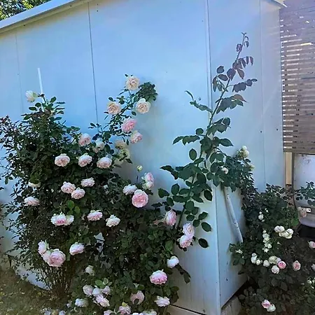 каравана Paradise